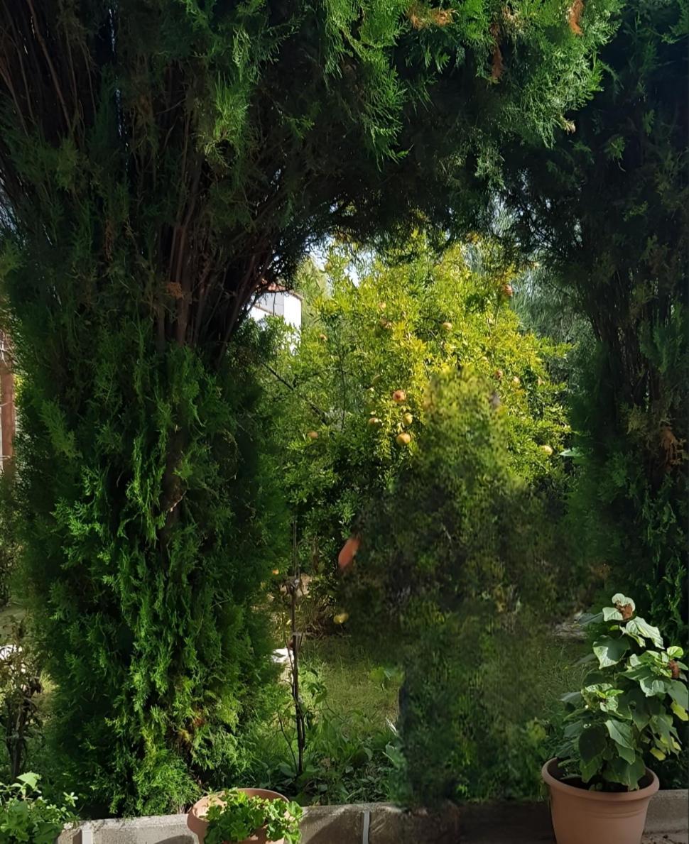 Green Oasis Holiday Home Vlore Ngoại thất bức ảnh