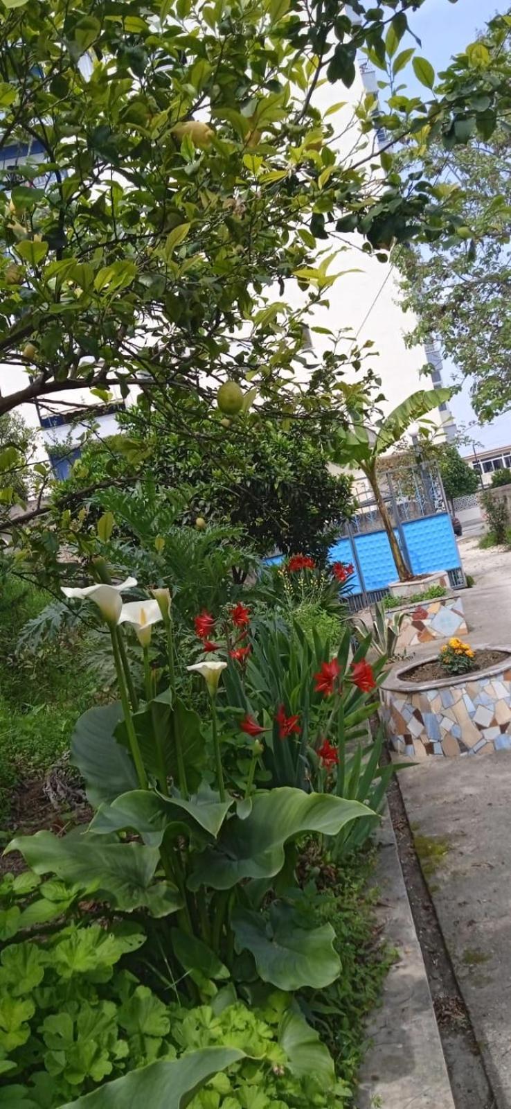 Green Oasis Holiday Home Vlore Ngoại thất bức ảnh